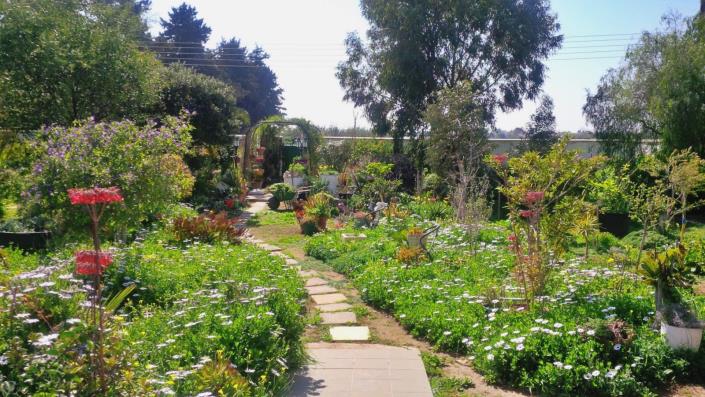 Image No.3-Villa / Détaché de 3 chambres à vendre à Pervolia