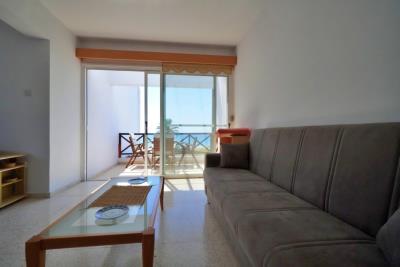 724754-apartment-for-sale-in-meneou_orig