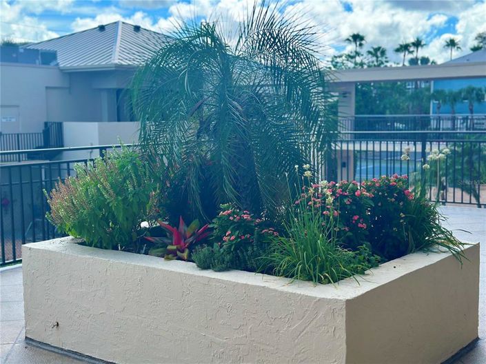 Image No.55-Propriété de 2 chambres à vendre à Sarasota