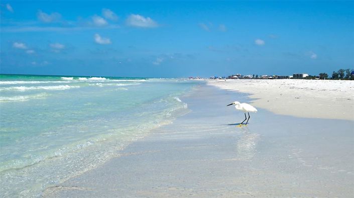 Image No.7-Propriété de 2 chambres à vendre à Sarasota