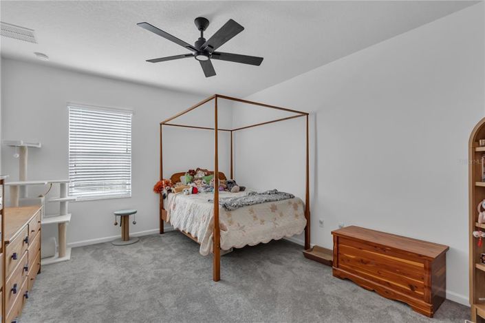 Image No.40-Propriété de 6 chambres à vendre à Davenport