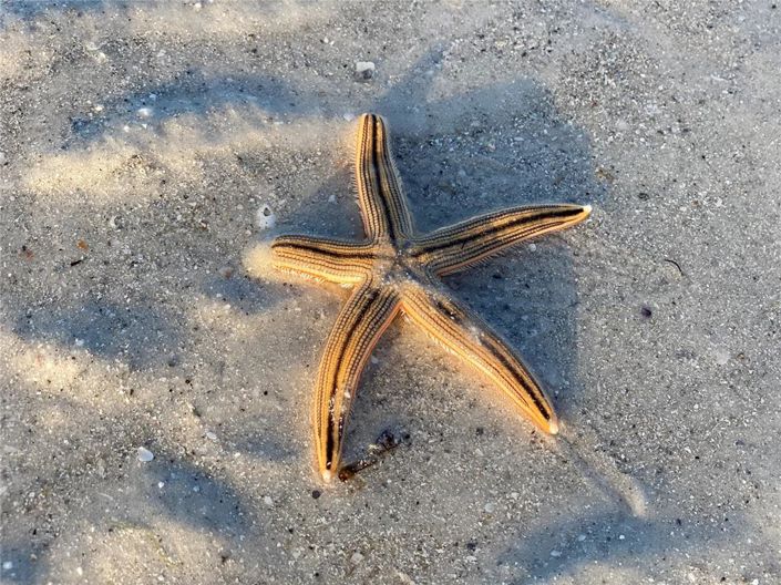 Image No.60-Propriété de 2 chambres à vendre à Floride