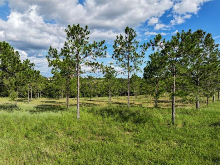 Image No.58-3 Bed Property for sale