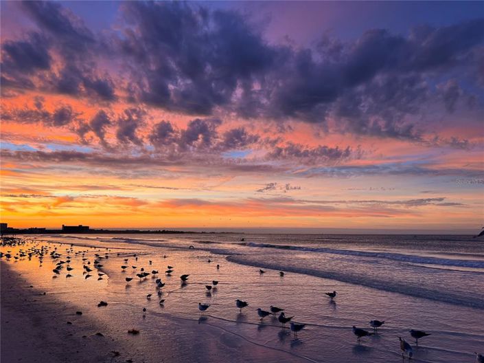 Image No.51-Propriété de 3 chambres à vendre à Sarasota