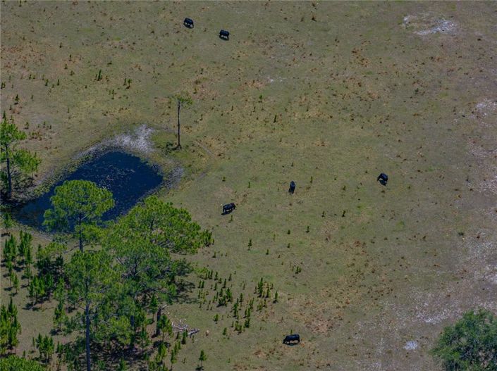 Image No.35-Propriété de 4 chambres à vendre à Haines City