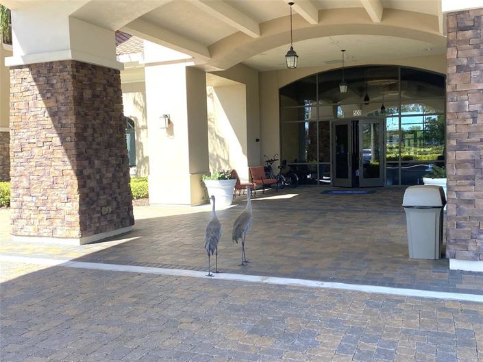 Image No.33-Propriété de 2 chambres à vendre à Davenport