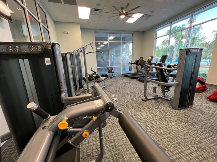 Image No.57-Propriété de 8 chambres à vendre à Davenport