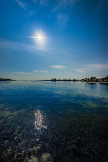 Image No.45-Propriété de 2 chambres à vendre à Floride