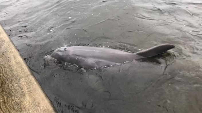 Image No.40-Maison de ville de 3 chambres à vendre à Floride