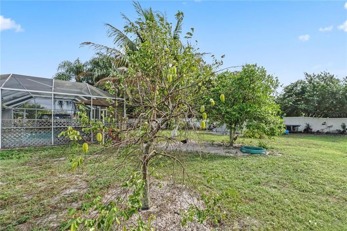 Image No.29-Propriété de 4 chambres à vendre à Kissimmee