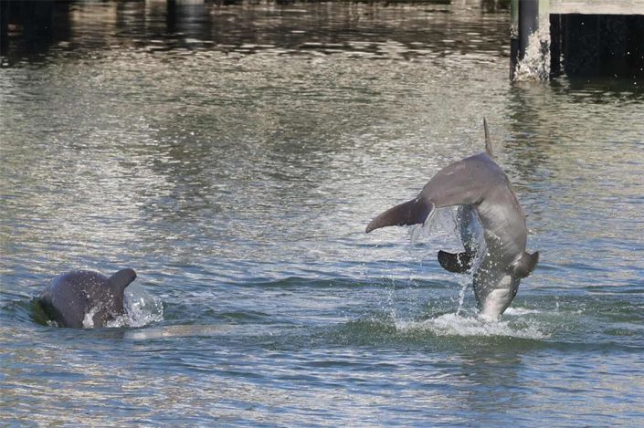 Image No.57-Maison de ville de 3 chambres à vendre à Treasure Island