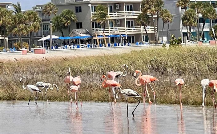 Image No.58-Maison de ville de 3 chambres à vendre à Treasure Island