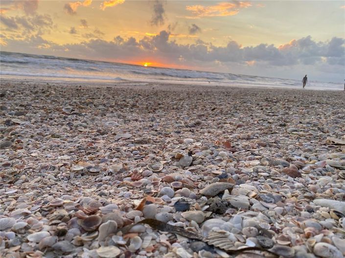 Image No.39-Maison de ville de 4 chambres à vendre à Treasure Island