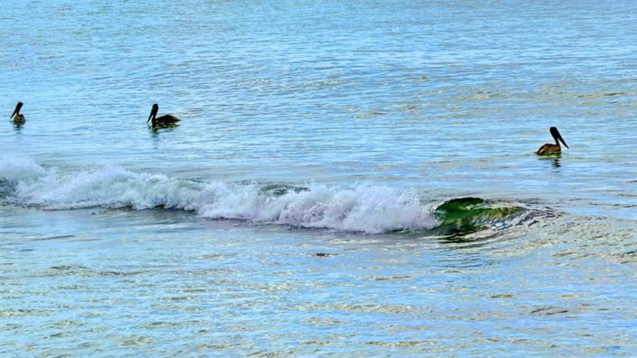 Image No.25-Propriété de 4 chambres à vendre à Sarasota