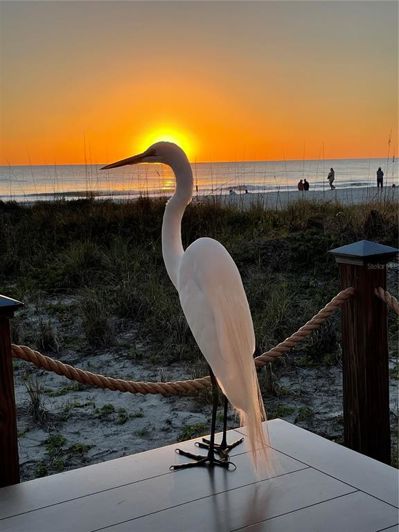 Image No.35-Propriété de 3 chambres à vendre à Longboat Key