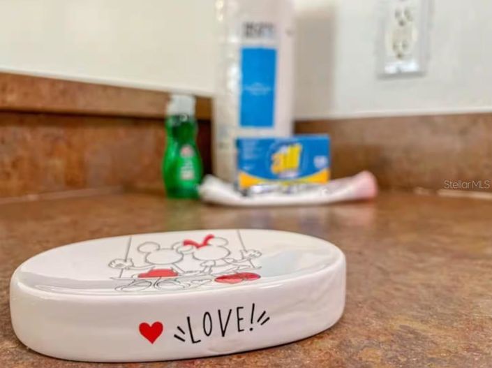 Image No.21-Propriété de 3 chambres à vendre à Kissimmee