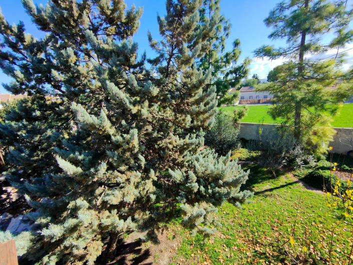 Image No.22-4 Bed House for sale