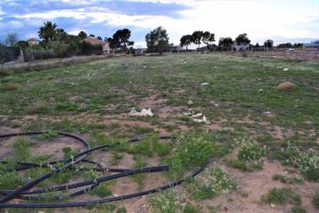 Image No.6-Terrain à vendre à Purias