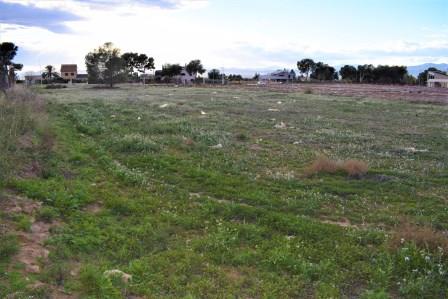 Image No.5-Terrain à vendre à Purias