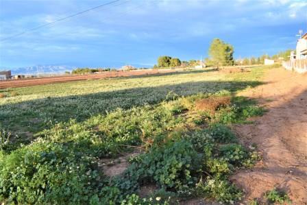 Image No.17-Terrain à vendre à Purias
