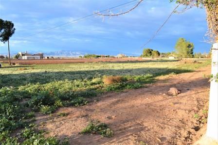 Image No.18-Terrain à vendre à Purias