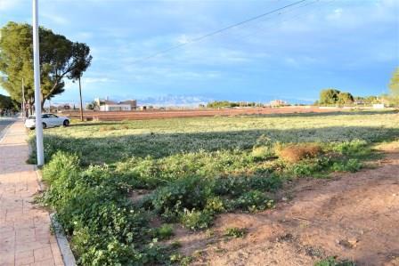 Image No.19-Terrain à vendre à Purias