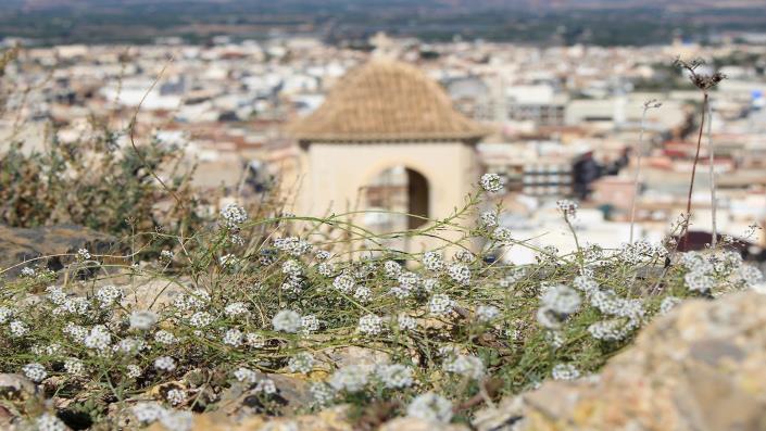 Image No.46-Maison / Villa de 2 chambres à vendre à Cox