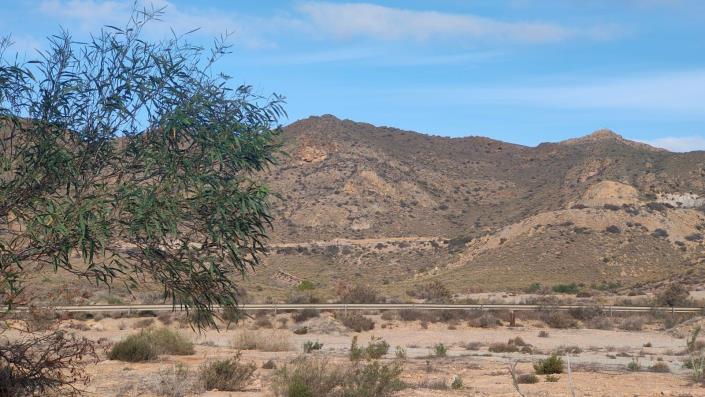 Image No.7-Maison de 5 chambres à vendre à Pilar de Jaravia