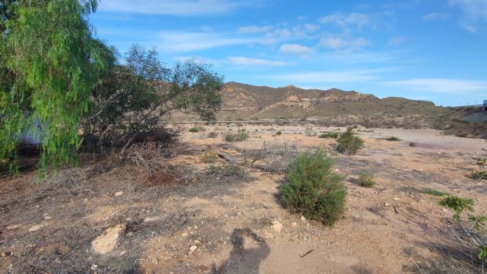 Image No.8-Maison de 5 chambres à vendre à Pilar de Jaravia