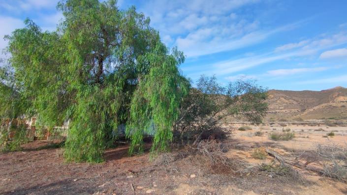Image No.12-Maison de 5 chambres à vendre à Pilar de Jaravia