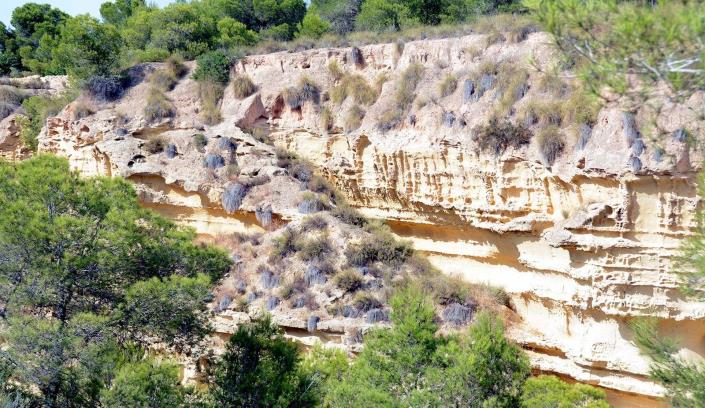 Image No.15-Villa de 4 chambres à vendre à Pinar de Campoverde