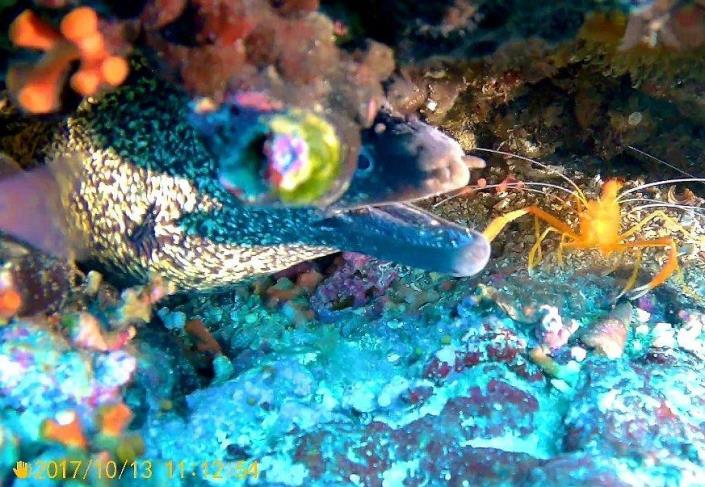 Image No.4-3 Bed Apartment for sale