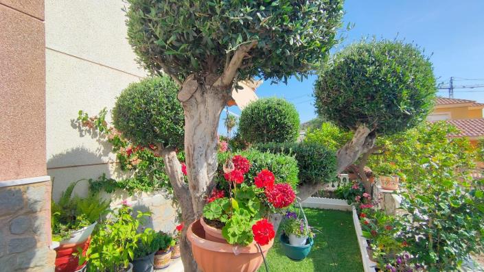 Image No.7-Duplex de 3 chambres à vendre à San Juan De Los Terreros