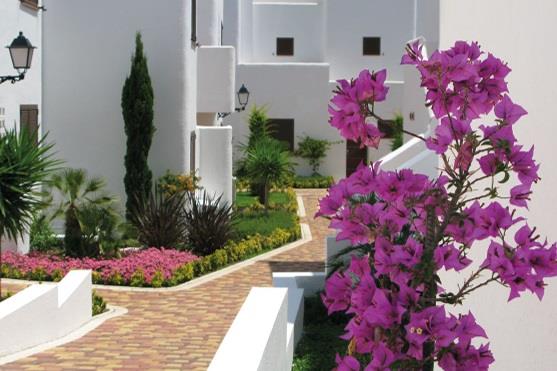 Image No.12-Appartement de 2 chambres à vendre à San Juan De Los Terreros