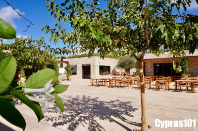 8-Agios-Georgios-Paphos-villa-with-spectacular-sea-views-Property-1270