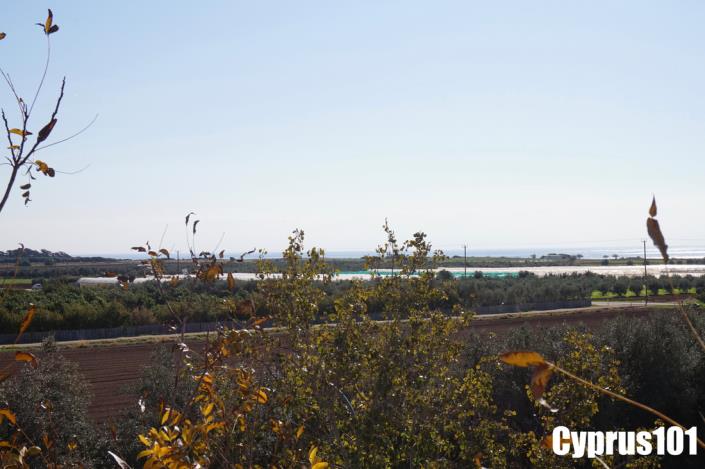 Image No.13-Appartement de 2 chambres à vendre à Mandria