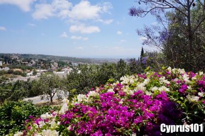 12-Tala-village-Property-1317