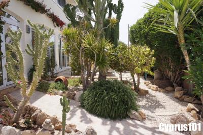 10-chloraka-Paphos-villa-metres-of-the-mediterranean-sea-Property-1320