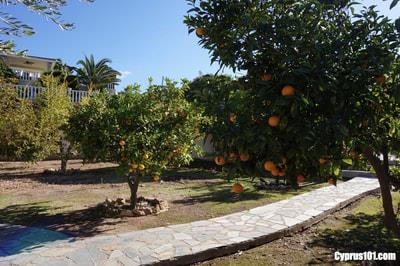 15-agios-georgios-luxury-villa-paphos