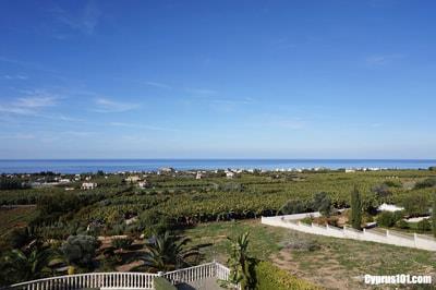 Image No.40-Villa / Détaché de 5 chambres à vendre à Agios Georgios