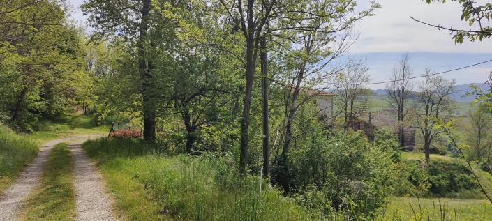 Image No.31-Penthouse de 3 chambres à vendre à Loiano