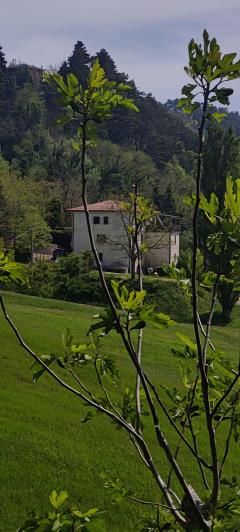Image No.2-Penthouse de 3 chambres à vendre à Loiano