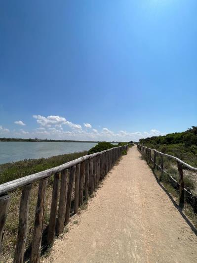 Image No.4-Masseria de 4 chambres à vendre à San Pietro in Bevagna