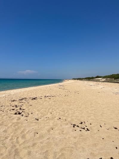 Image No.5-Masseria de 4 chambres à vendre à San Pietro in Bevagna