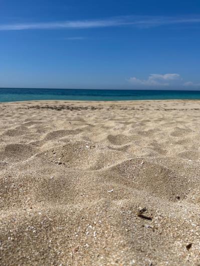 Image No.24-Masseria de 4 chambres à vendre à San Pietro in Bevagna