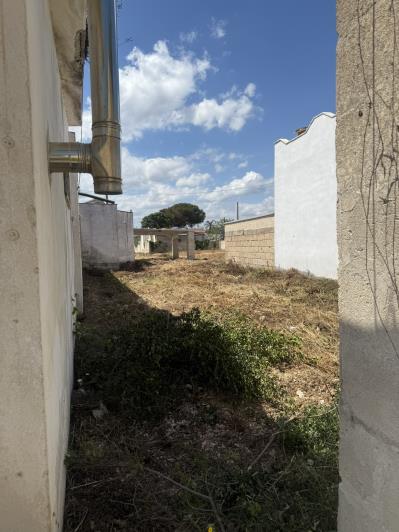 Image No.29-Masseria de 4 chambres à vendre à San Pietro in Bevagna