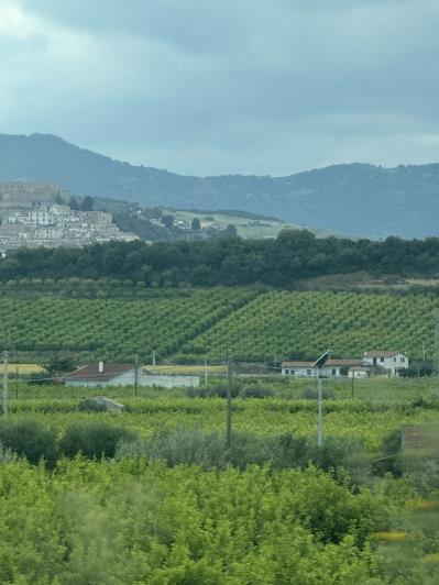 Image No.31-Masseria de 4 chambres à vendre à San Pietro in Bevagna