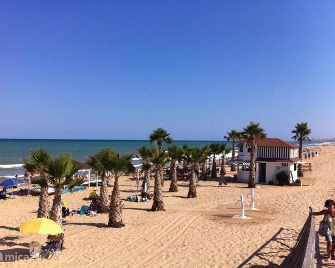 Image No.4-Propriété de 3 chambres à vendre à Dolores