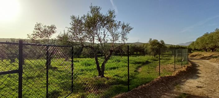 Image No.4-Terrain à vendre à Crète