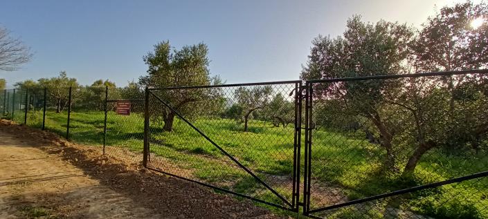 Image No.5-Terrain à vendre à Crète